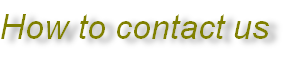 How to contact us