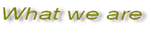 What we are